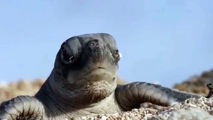 something-to-be-Glad-and-Thankful-about_18