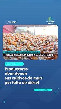 Productores abandonan sus cultivos de maíz por falta de diésel