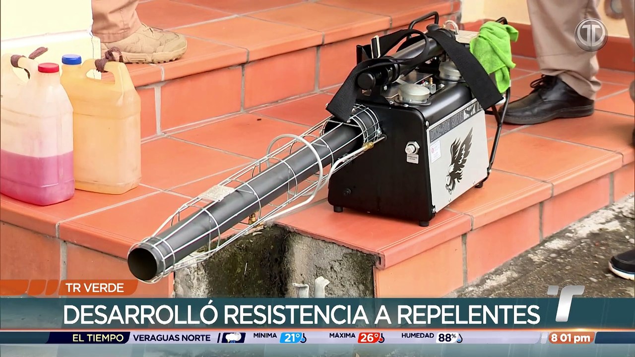 TR Verde: El mosquito