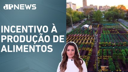 Nova lei de incentivo à agricultura urbana pode mudar municípios brasileiros; Patrícia Costa analisa