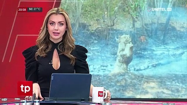 Santa Cruz registra 29 incendios forestales activos y el viento no favorece en los trabajos
