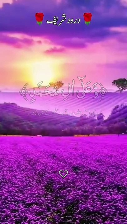Darood shareef Darood e Ibaheemi Most Beautiful And Peacefull Heart Touching Reaction || #allahﷻ #islamicshorts #islamic_status