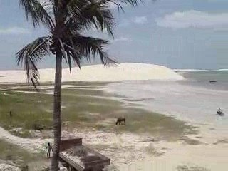 bresil djimi a jericoacoara