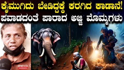 ವಯನಾಡಿನಲ್ಲಿ ಕಾಡಾನೆ ಮುಂದೆ ನಿಂತ್ರೂ ಪವಾಡದಂತೆ ಪಾರಾದ ಅಜ್ಜಿ ಮೊಮ್ಮಗಳ ಮನಮಿಡಿಯುವ ಕಥೆ