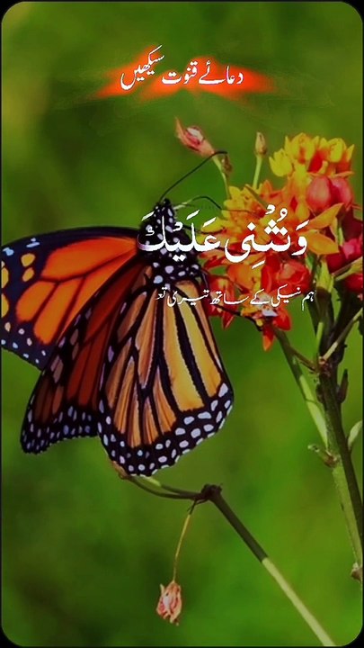 Dua-e-Qunoot | دعائے قنوت | Dua e Witr