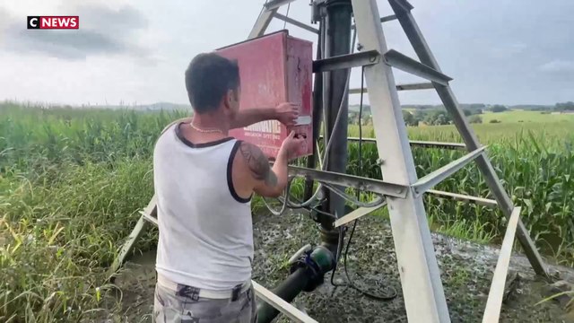 Lot-et-Garonne : les céréaliers en colère face au manque d'aides