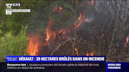 38 hectares brûlés dans un incendie survenu vendredi à Fabrègues, dans l'Hérault