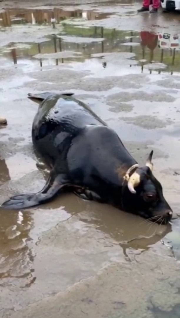 See how dangerous technology AI is