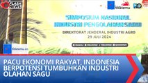 Pacu Ekonomi Rakyat, Indonesia Berpotensi Tumbuhkan Industri Olahan Sagu