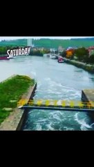 You are not lost in life you are in the process of finding your happiness true