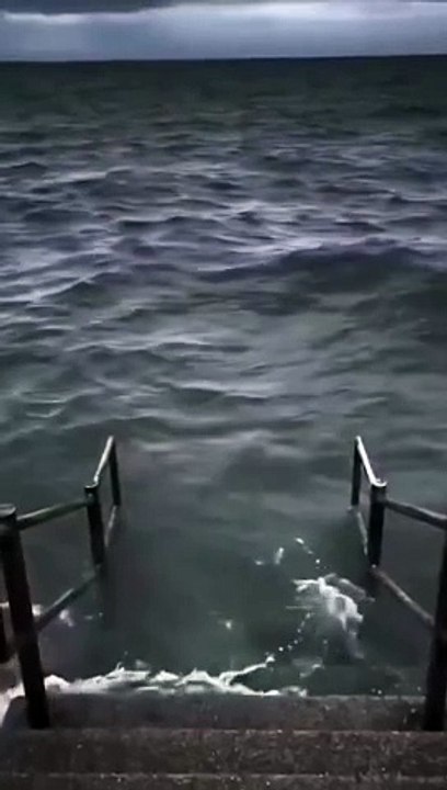 No problem_ Here_s the information about the Mercedes CLR GTR___The Mercedes CLR GTR is a remarkable racing car celebrated for its outstanding performance and sleek design. Powered by a potent 6.0-liter V12 engine_ it delivers over 600 horse(