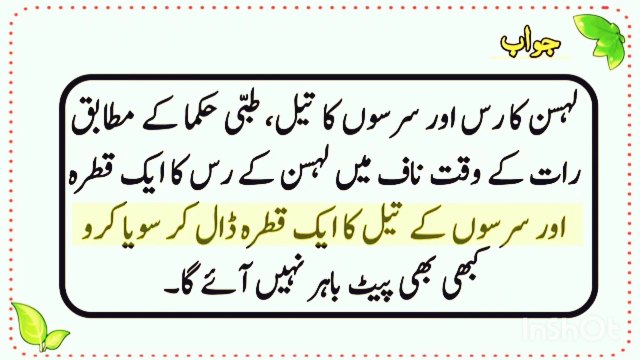 Islamic Questions Answers Urdu Mein - Islamic Common Sense Paheliyan - Islamic Sawal Jawab - Urdu gk
