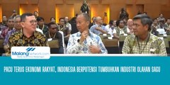 Pacu Terus Ekonomi Rakyat, Indonesia Berpotensi Tumbuhkan Industri Olahan Sagu