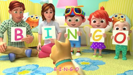 Bingo! 🐾 Fun Animal Adventures with CoComelon for Kids