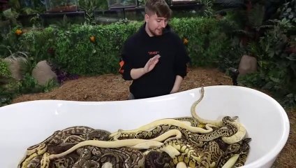 Would You Sit In Snakes For $10,000_-(480p)
