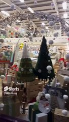 Life is meant to be lived as a celebration