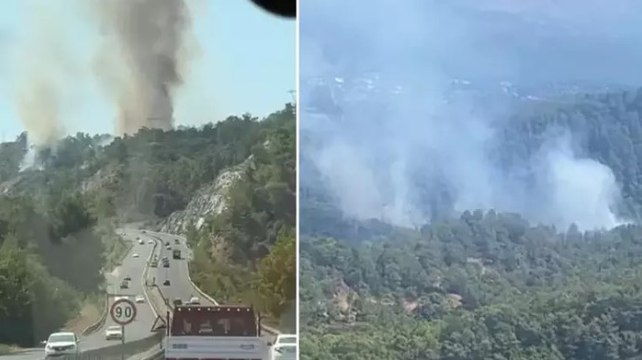 Muğla'nın Köyceğiz ilçesinde orman yangını