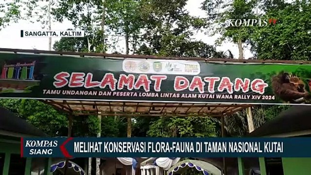 Mengenal Taman Nasional Kutai Barat, Pusat Konservasi dan Pelestarian Alam di Kalimantan Timur