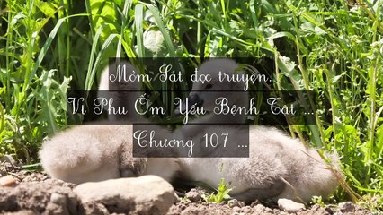 Mới 2024 Chương 106-113: Vi Phu Ốm Yếu Bệnh Tật
