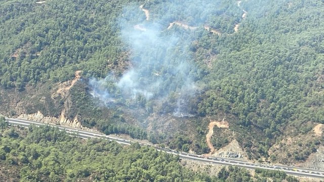 Muğla Köyceğiz'de orman yangını