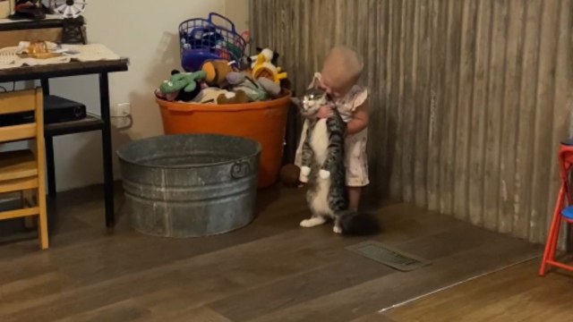 Baby girl is annoyed because her pet cat is too heavy to be lifted