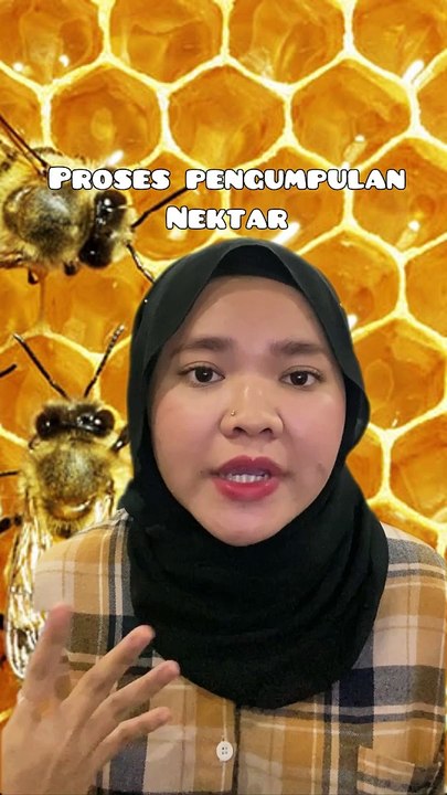 Cara Lebah Hasilkan Madu