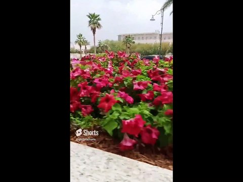 Happing in Pakistan, Tour 2023 all in one