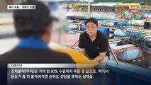 우럭 폐사·해파리 습격…뜨거운 바다에 어민들 한숨