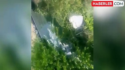 İngiletere'de Müslüman mezarlığına çirkin saldırı: Mezar taşlarını boyadılar