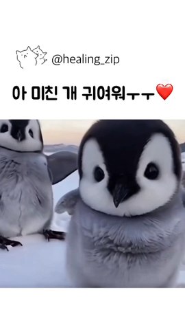 My heart is beating