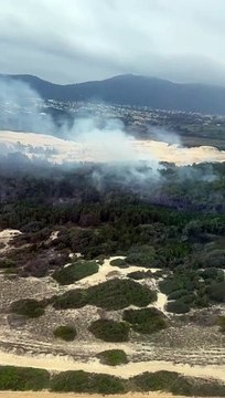 Incêndio atinge Parque Estadual do Rio Vermelho, em Florianópolis