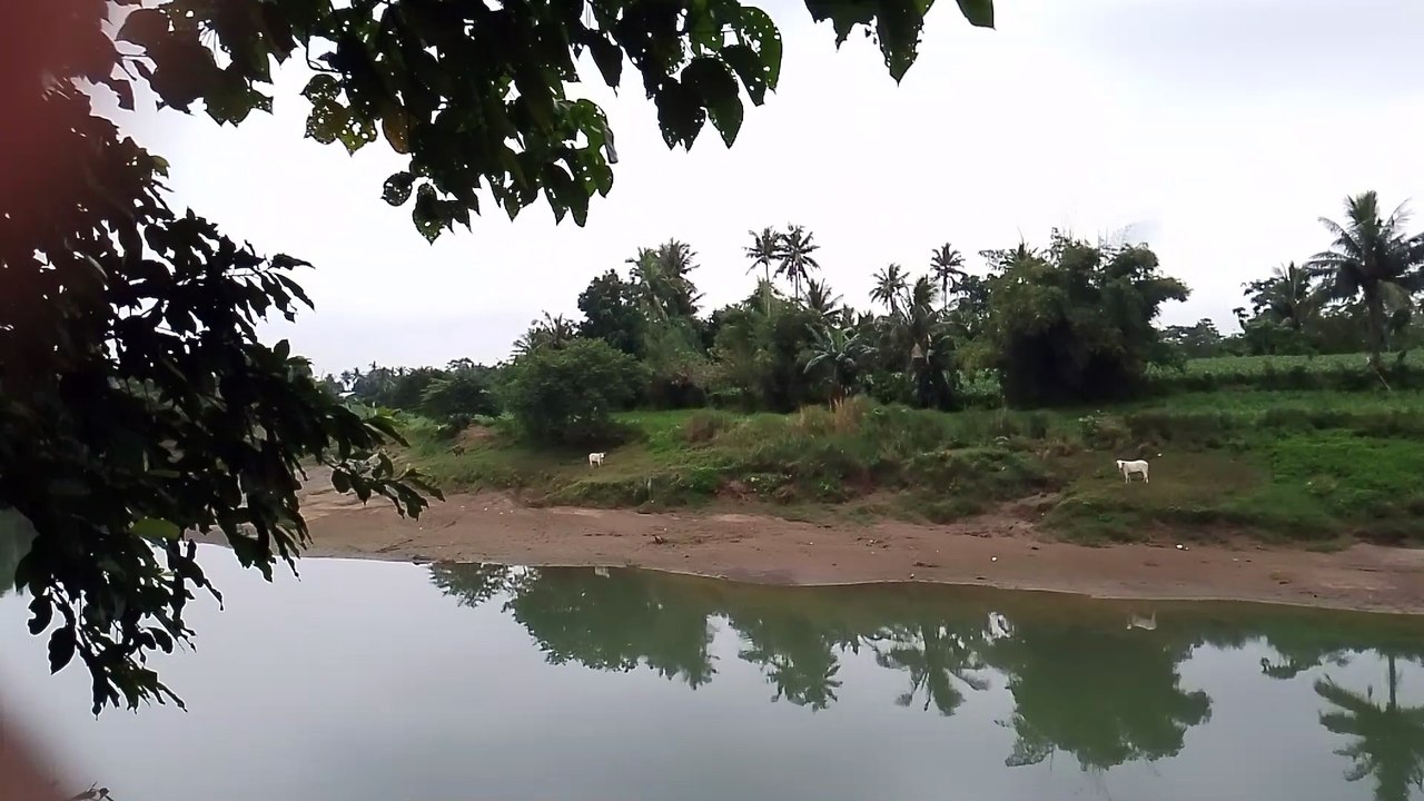 pahangin sa bukid 