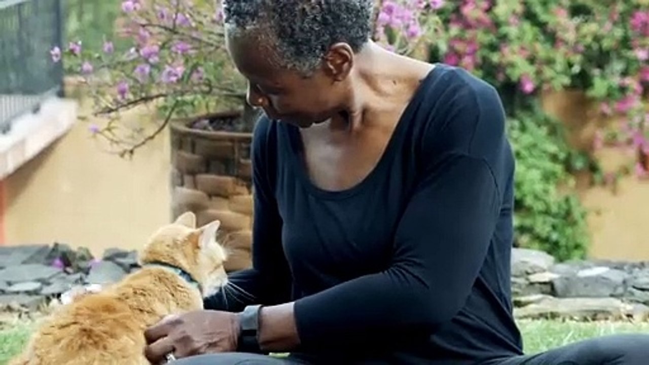 How Cats Choose Their Favorite Person720p