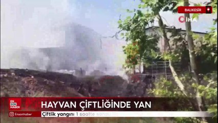 Balıkesir'de çiftlik yangını 1 saatte söndürüldü