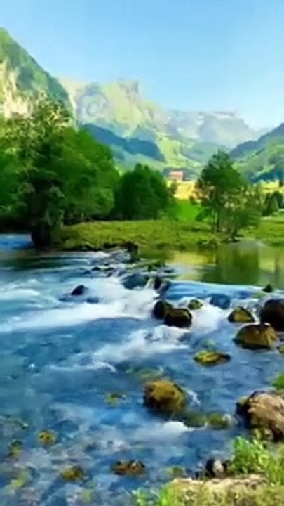 FB_VID_2394974585060755585