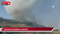 Hatay'da orman yangını çıktı