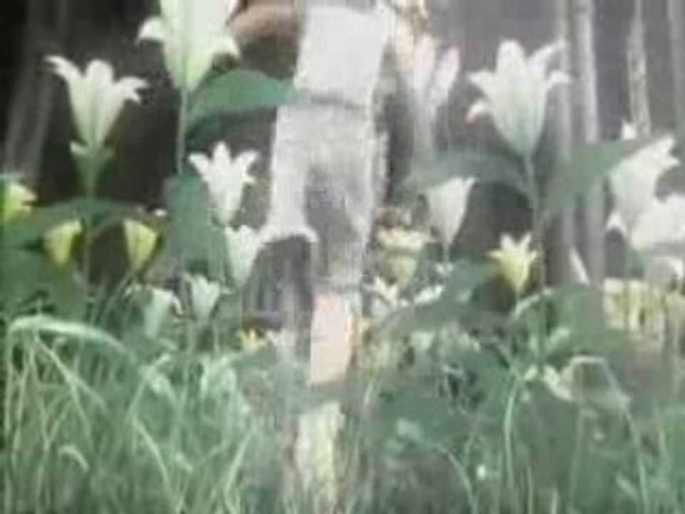 Final Fantasy Advent Children - Massive Attack - Teardrop