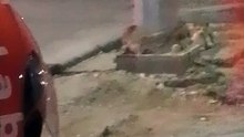 VID_20240620_224634