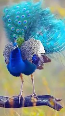 Living Moments: Real Stories from Everyday Life