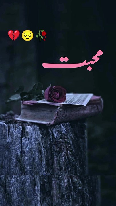 Mohabbat | Love ❤️