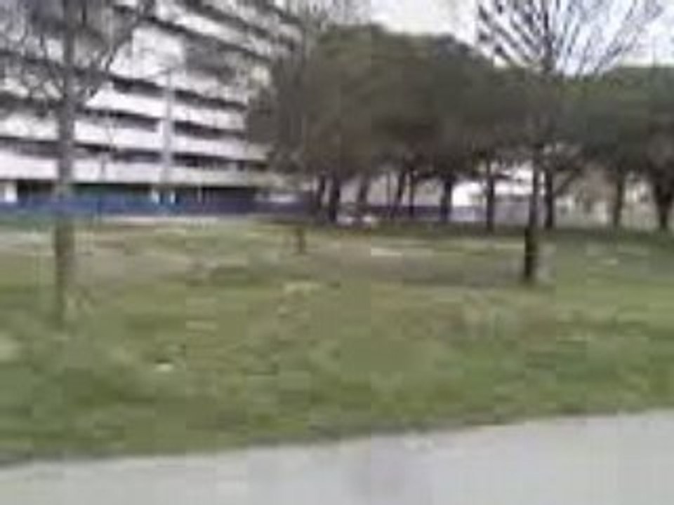 rodeo au titient