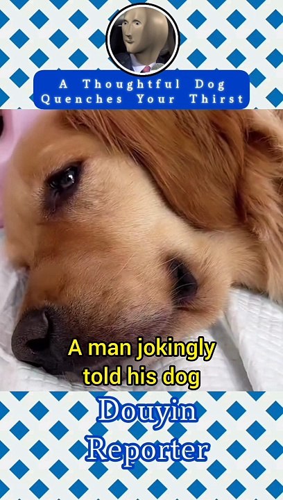 this evil owner tried to eat his dog's baby, this is what happened