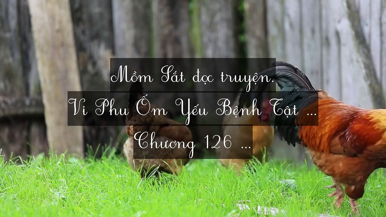 Mới 2024 Chương 123-131: Vi Phu Ốm Yếu Bệnh Tật