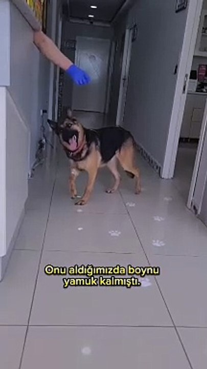 Sevgi ve sabır, kitaplarda yazmaz ama iyileştirir 