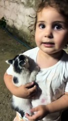 Bulduğu kedi hakkında sorulan soruları tatlı bir şekilde yanıtlayan cimcime 