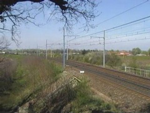 Le saut des chèvres ( Pont de l'Isère 26 ) le 5 04 2008