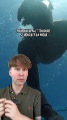 Pourquoi mouiller votre nuque avant de plonger ? 🔍