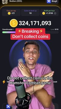 Hamster Kombat Breaking Info #hamsterkombat #crypto #bitcoin #hamstercombo