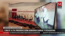 Reportan crecimiento del 4.7% en producción agropecuaria y pesquera entre 2018 y 2023 en México