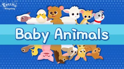 Kids vocabulary - Baby Animals - Learn English for kids - English educational video